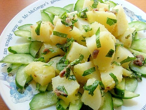 ポテトサラダに飽きたら!アンチョビー&セロリ葉♪